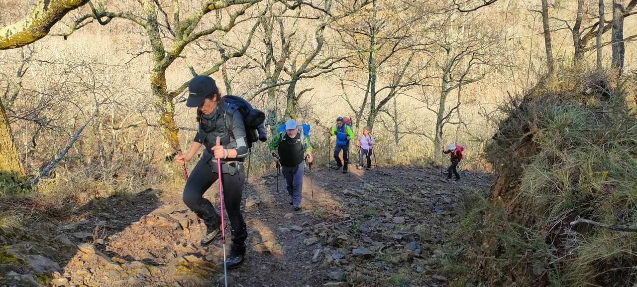 WhatsApp Image 2026-03-08 at 21.27.45 (1)